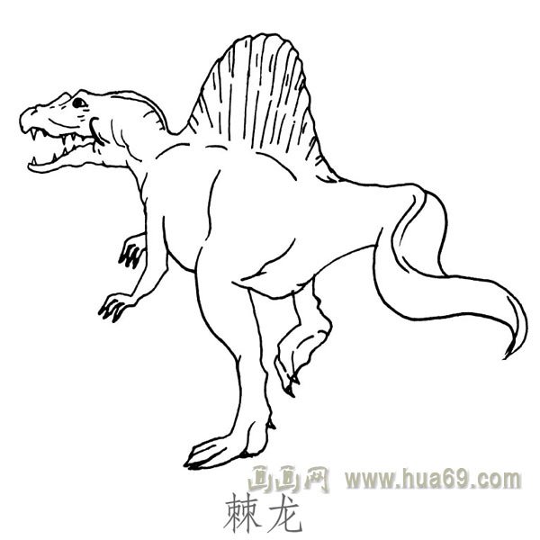 儿童简笔画恐龙：棘龙