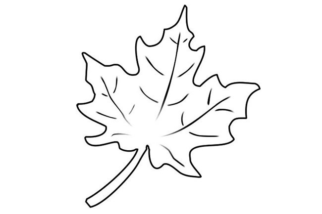 枫叶简笔画