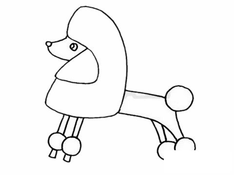 贵宾犬简笔画图片大全作品二
