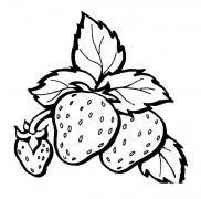 草莓水果简笔画步骤图片大全三