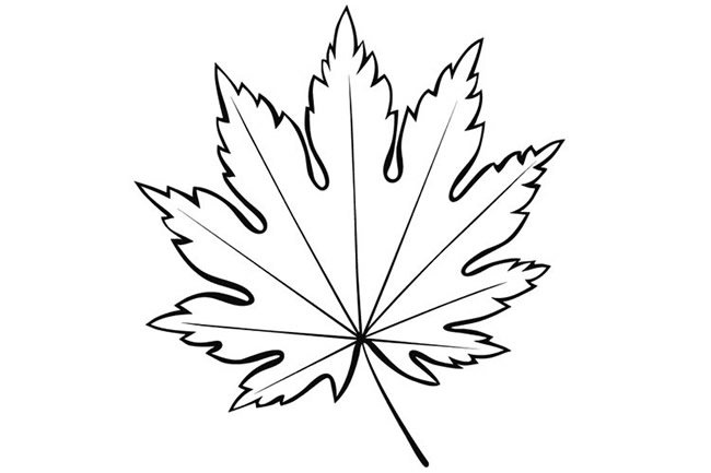 树叶简笔画