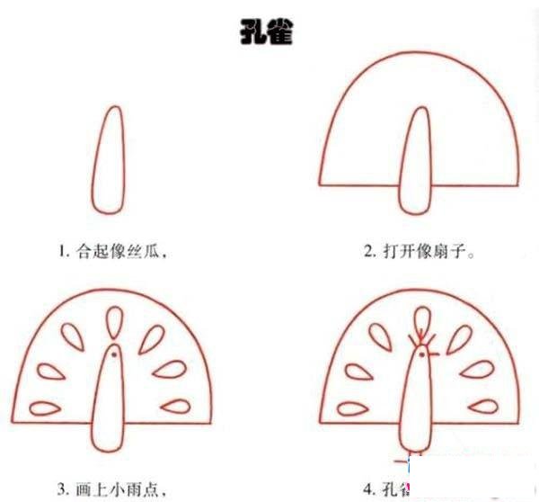 关于画孔雀的简笔画画法