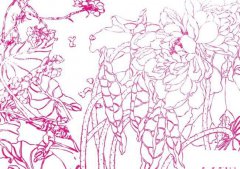 整株牡丹的画法