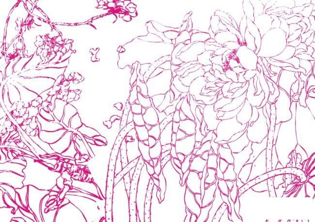 简笔画花: 整株牡丹的画法