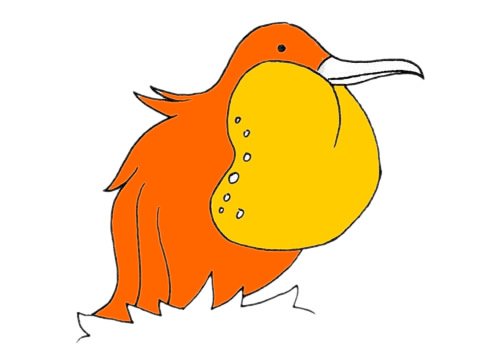 军舰鸟简笔画图片大全作品三