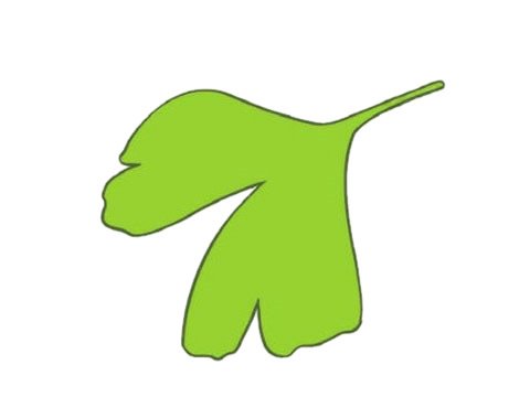 银杏树简笔画图片