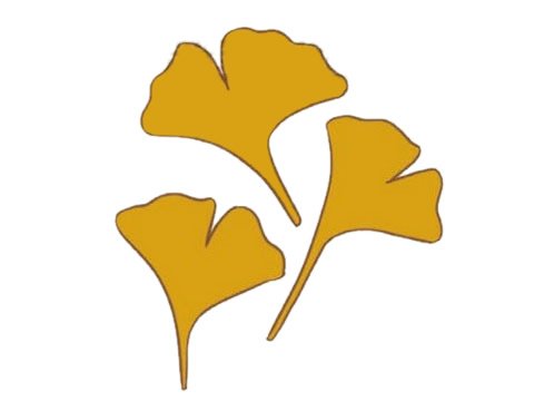 银杏树简笔画图片