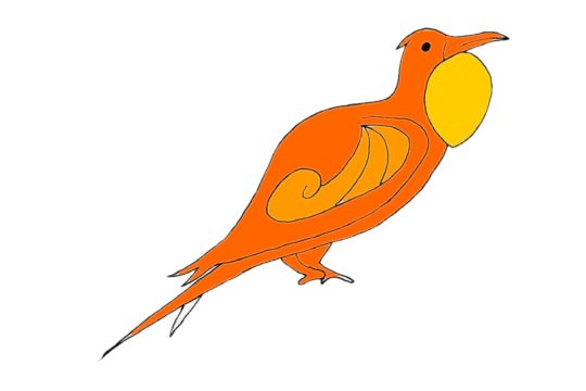 军舰鸟简笔画图片大全作品一