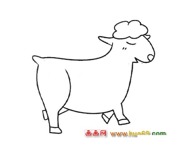 动物简笔画：一只小山羊