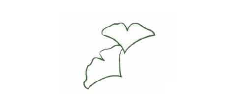 银杏树简笔画图片