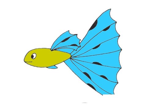 孔雀鱼简笔画图片大全作品一