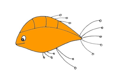 孔雀鱼简笔画图片