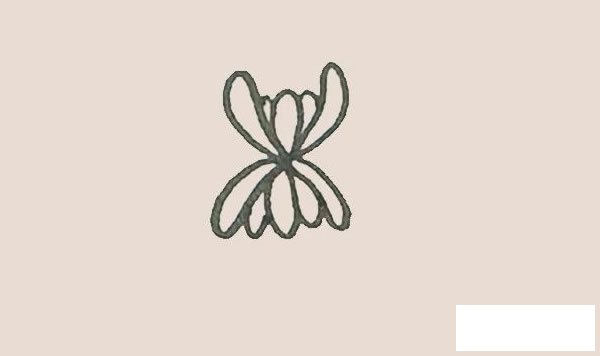 菊花简笔画图片