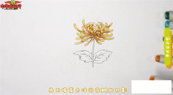 菊花简笔画