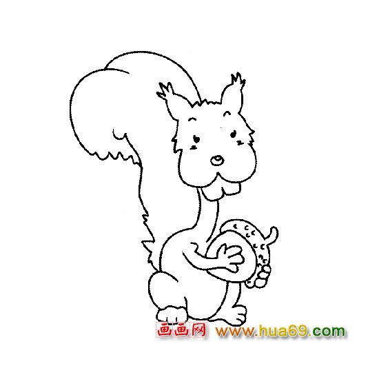 松鼠│动物简笔画5