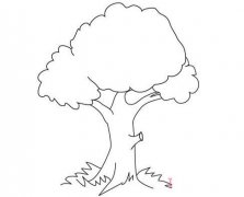 一步一步画大树简笔画图片 手绘大树的画法简单