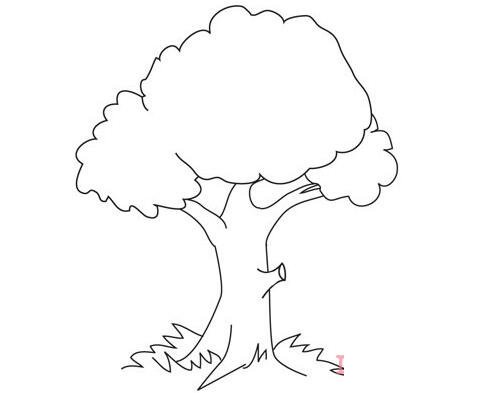 大树怎么画简洁好看 带步骤图大树简笔画图片