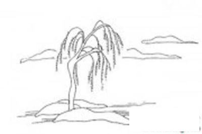 风景简笔画：河边的柳树