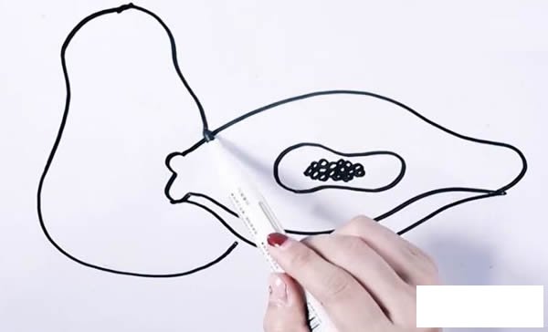 木瓜简笔画步骤图