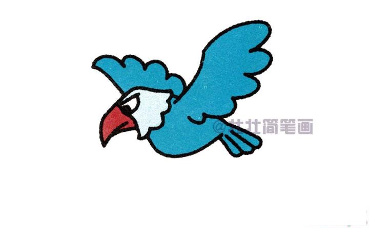 老鹰简笔画画法_怎么画老鹰的简笔画