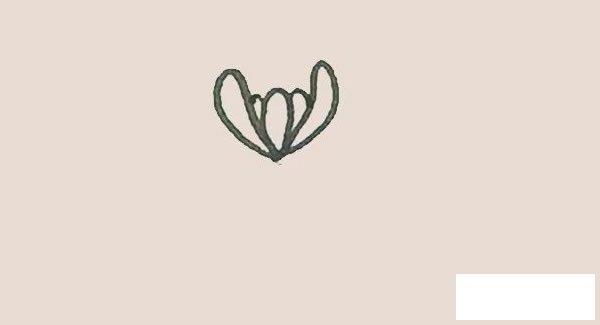 菊花简笔画图片