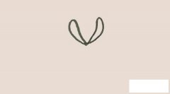 菊花简笔画步骤图解教程 水彩画法