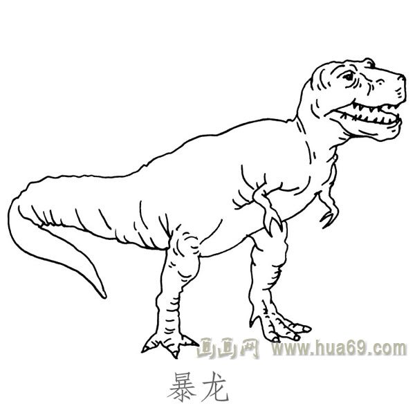 儿童简笔画恐龙：暴龙
