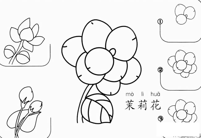 茉莉花怎么画简笔画步骤图解