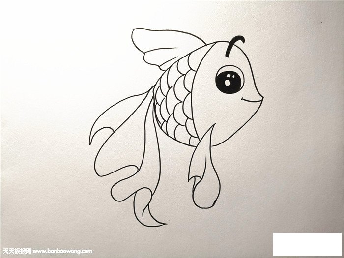 小金鱼怎么画一步一步教