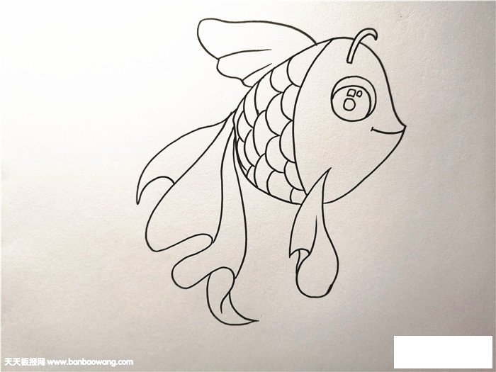 小金鱼怎么画一步一步教