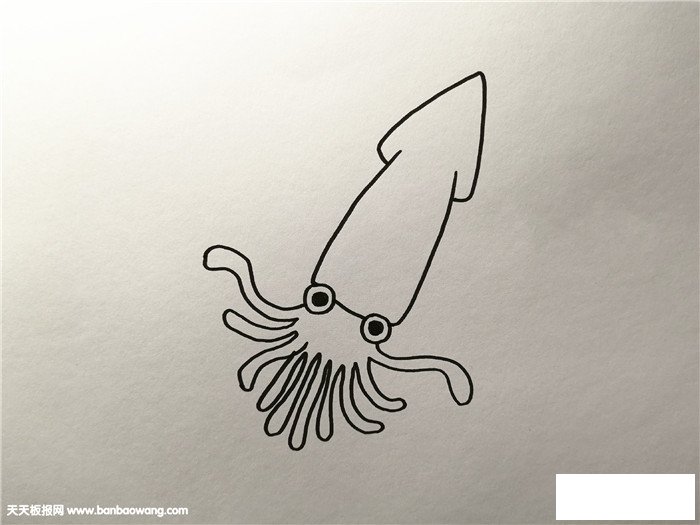 乌贼怎么画简单又好看