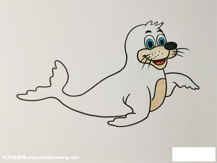 可爱海豹简笔画彩色