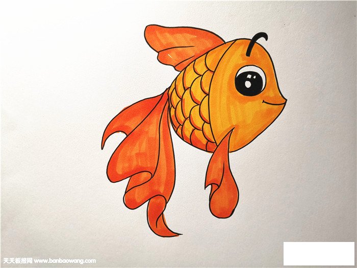 小金鱼怎么画一步一步教