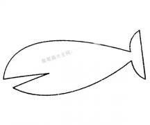13款鲨鱼简笔画图片大全