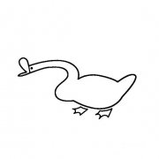 鹅的画法大白鹅