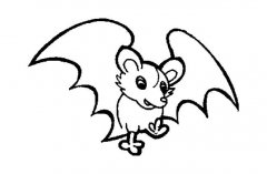 可爱卡通蝙蝠简笔画图片