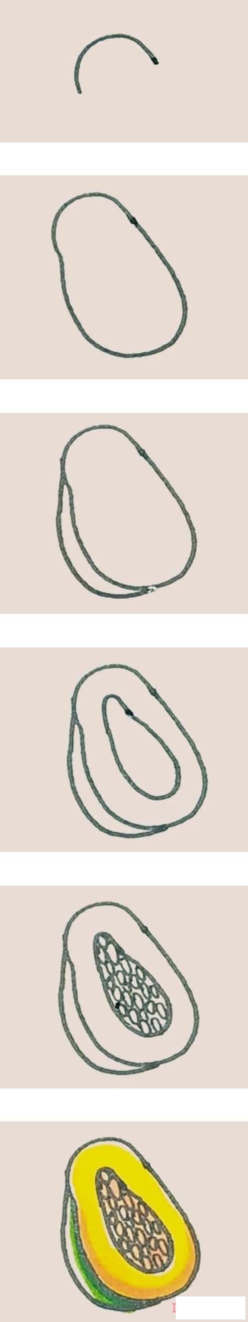 简单木瓜的画法详细步骤图带颜色