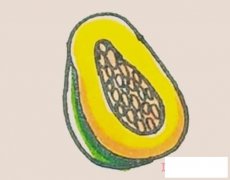 简单木瓜的画法详细步骤图带颜色