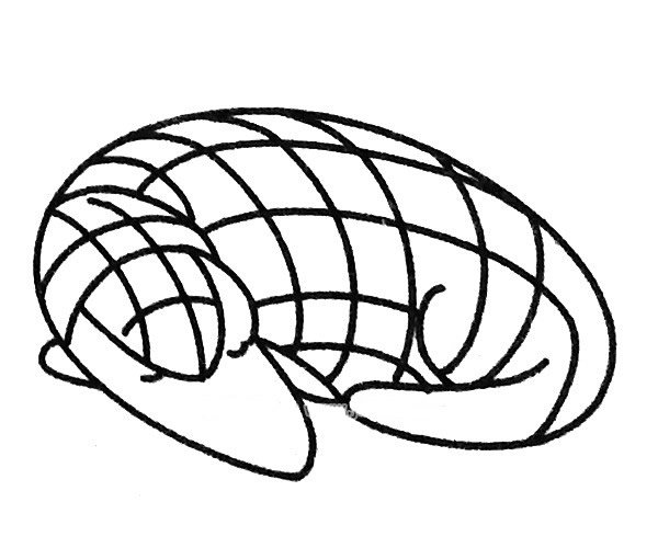 6款穿山甲简笔画图片