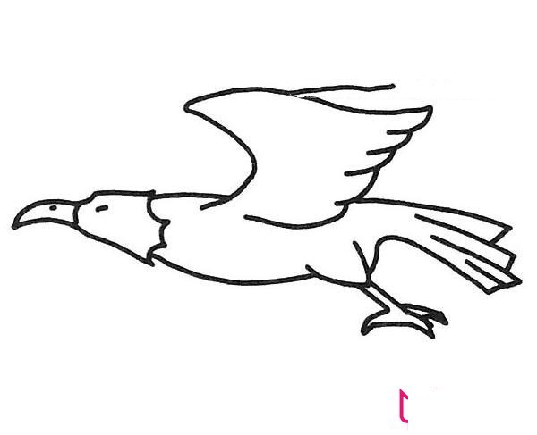 各种小动物的简笔画图片大全,可爱简单小动物简笔画