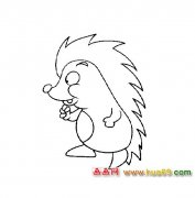 动物简笔画│刺猬2