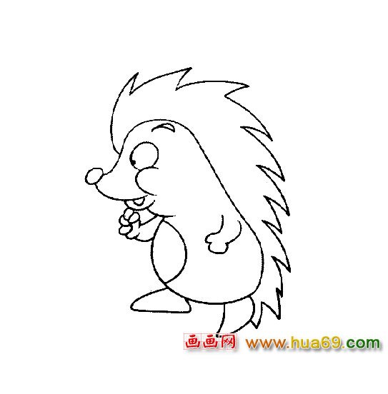 动物简笔画│刺猬2