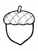 橡果水果简笔画步骤图片大全