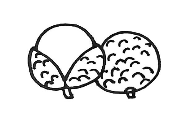 荔枝简笔画