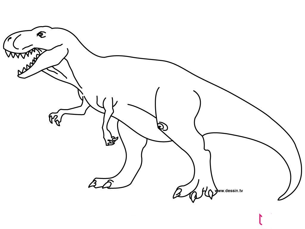 小动物简笔画大全可爱，超全的小动物画法