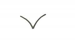 学画美味的荔枝简笔画步骤教程