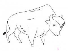 小动物简笔画大全可爱，超全的小动物画法