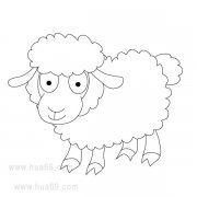 儿童简笔画：胖胖的绵羊