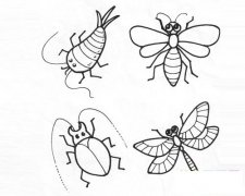 各种小昆虫简笔画