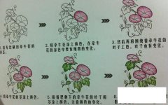 朝气蓬勃的牵牛花简笔画画法_怎么画朝气蓬勃的